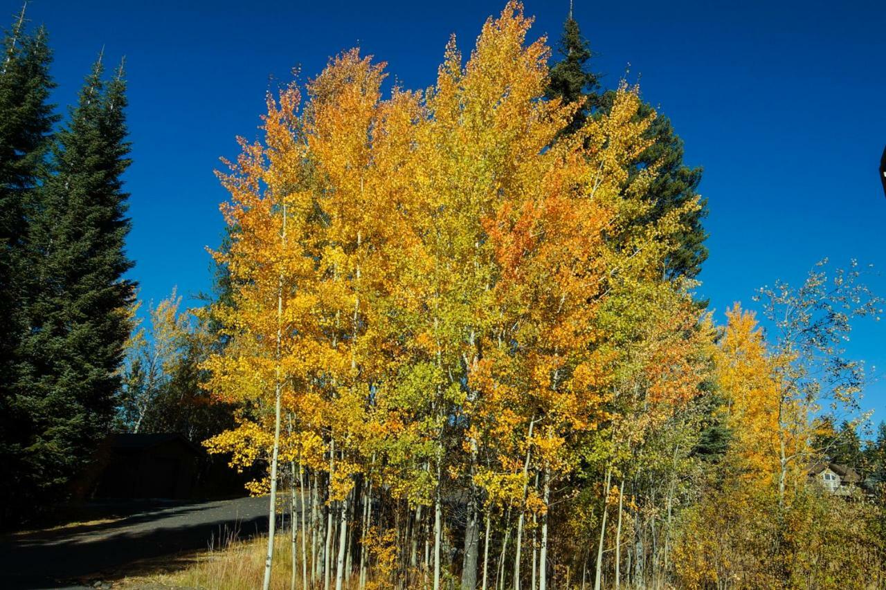 Aspen Village Golf Course Condo - Snowshoes McCall Εξωτερικό φωτογραφία